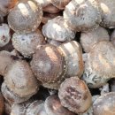 아름1농장 이미지