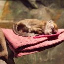 행렬농장 이미지