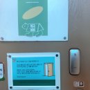 신트리로 이미지