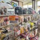 알라딘펫 이미지