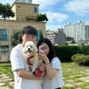 KNOLLO(놀로) 이미지