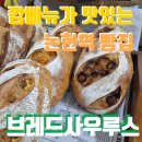 [서부] 건강빵과 발효종 | 깜빠뉴가 맛있는 논현역 빵집, 브레드사우루스, 천연 발효종으로 건강하게 빵먹는 빵순이!