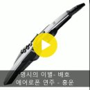 에어로폰연주 - 영시의 이별(배호) 이미지