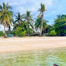 [필리핀/말라파스쿠아🏝️] 다이빙 투어🦈 드래곤제이원 리조트 추천👍