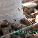 사과사랑동호회