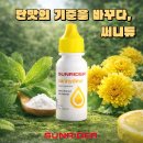 썬라이더IBO광주센터