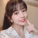 오늘의 댕댕 이미지
