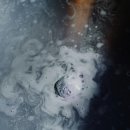 염소자리 이미지