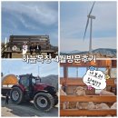 6월의 목장 | 대관령 양떼목장 4월 재방문후기ㅣ평창 하늘목장 양 방목 관람 시기 꼭 참고욤