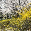 몽마르뜨공원 이미지