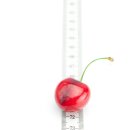 노블휘트니스 이미지