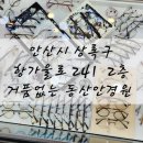 동산 안경원 이미지