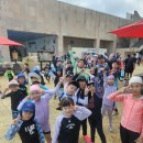 하나린태권도 이미지