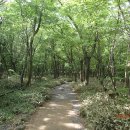 한라산 어리목~만세동산~윗세오름~남벽분기점~영실 이미지