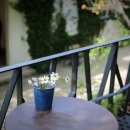 (주)아미랜드 이미지