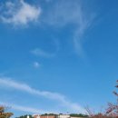 부경대학교(용당캠퍼스) 이미지