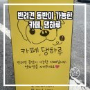 카페 댕하루 이미지