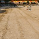 남부민초등학교 이미지