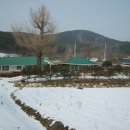 깡촌 - 안산시 상록구 광덕1로 375 | 깡촌