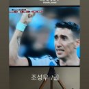 코쿤스토리