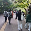 [서울 걷기대회]한국 일보 거북이 마라톤 건강 걷기 대회 참여 후기