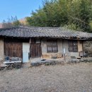 286번지 Daum카페