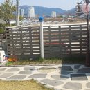 텃밭가꾸기 | [아이와 함께 텃밭 가꾸기]2탄 - 우리 집 마당에서 쪽파 수확했어요!