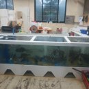 밀양초장집 이미지