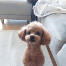 또또살롱 네이버블로그