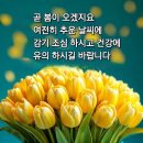 이즈봄 - 수성구 무학로29길 35 | 이즈봄