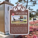 대광자전거 이미지