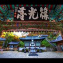 내미로리 이미지