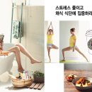 참쉬운다이어트 이미지