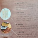 가죽공예와 만나요 이미지