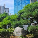 일죽약국 | 건진후기 중앙병원