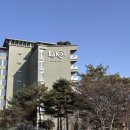 라카이샌드파인 | 강릉 라카이 샌드파인 트리오 조식 수영장 사우나 리조트 후기