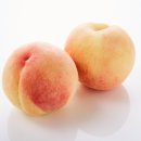 춘향골농협 APC 이미지