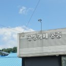 콩줌