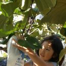 은서네농원