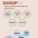 바디닥터 이미지