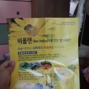 여왕벌민박 | 비폴텐 추천, 여왕벌이 로열젤리를 위해 먹는 꿀벌화분❤️ “ 해찬골벌꿀농원”