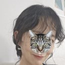 헤어살롱 다움