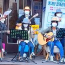 단종로 티스토리