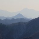 감자골 Daum카페