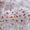 네일스토리 이미지