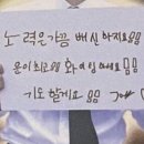 제주보홀 이미지