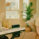 푸른세탁소 이미지