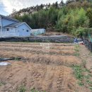 우용농장 이미지