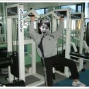 고릴라헬스클럽 이미지