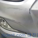 대진덴트칼라시스템